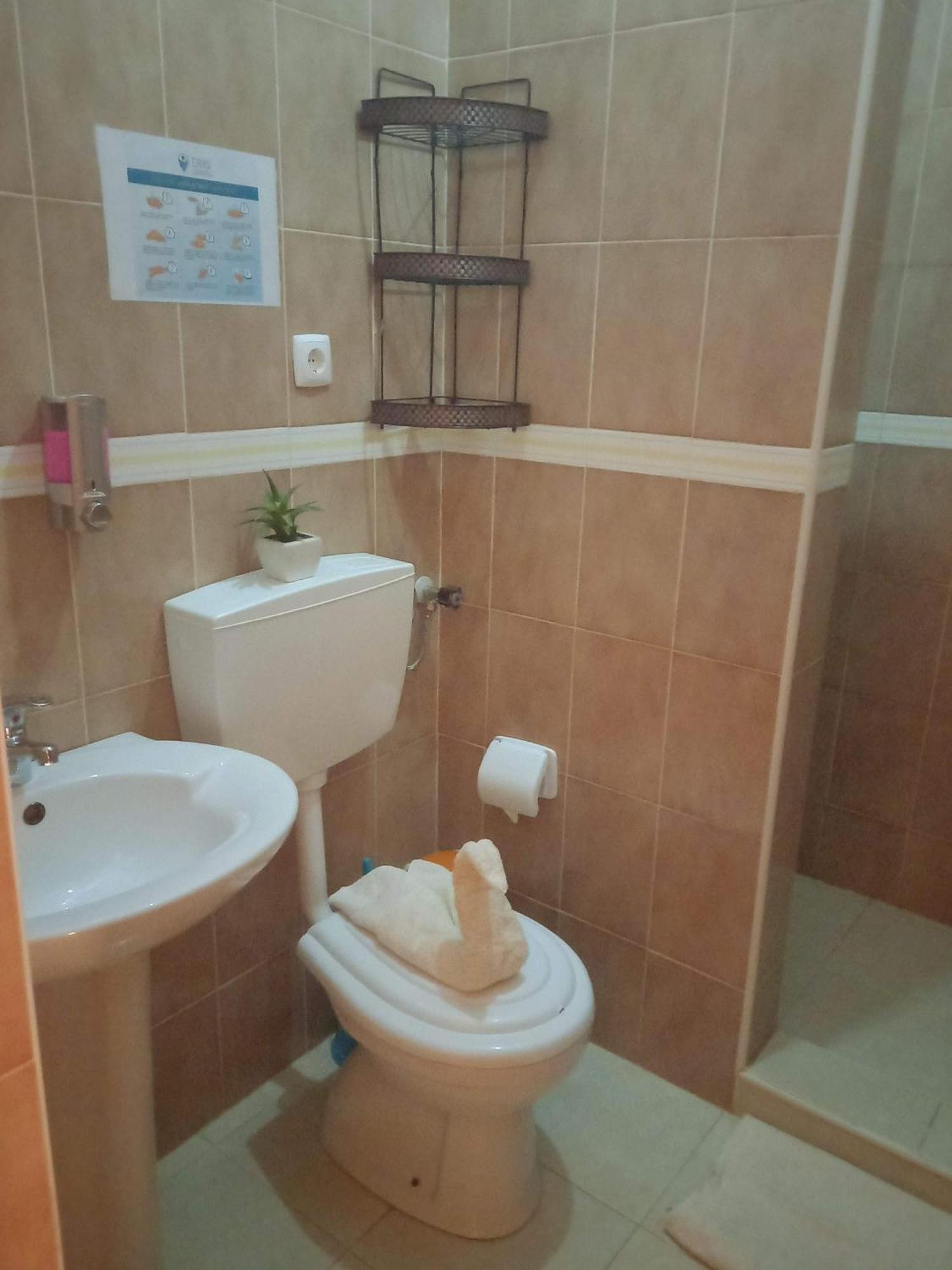 Residencial Rosa Criola Bed & Breakfast Sal Rei Luaran gambar
